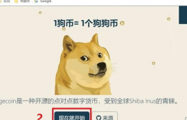 doge狗狗币挖矿教程视频全部