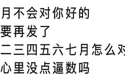 bonking翻译, Bokig是什么?理解这个词的翻译和意思。