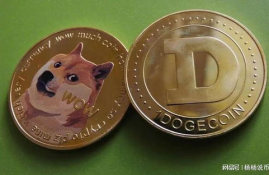 dogecoin币价格,为什么Dogecoi币的价格高涨?