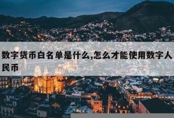 什么是数字货币白皮本书(abey数字货币白皮书)