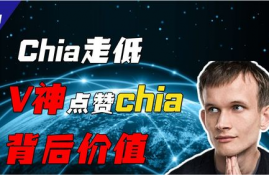 以太坊创始人v神视频,dota最有名的大神