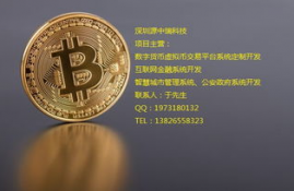 BNS什么数字货币,比特币bts是什么意思