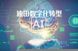 石油行业的数字货币是什么样的(油气数字化时代已开启)