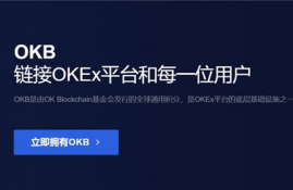 okb币交易平台网址是什么怎么查啊,okb是什么币