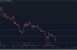 flow币最新价格,为什么规模较小的公司更多的依赖于非折现现金流量指标，规模较大的公