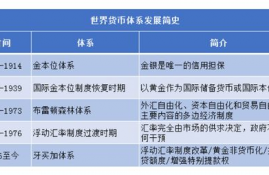 fxs币的投资风险分析怎么写,投资风险的分析方法。