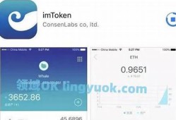 imtoken钱包里的usdt可以冻结吗(imtoken里的usdt被转走了怎么办)