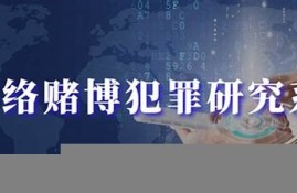 网络赌博外挂(怎么进入网赌内部)