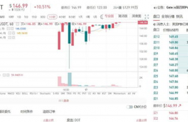 dot波卡币分析视频,什么是DNA斑点杂交