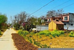 如何提高农村宅基地的利用率应对的空置问题(农村宅基地利用存在的问题及对策)