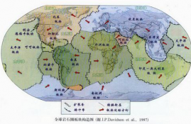 near币属于哪个板块类别