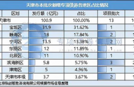 chr币发行总量,雷乐币的发行总量是多少?