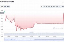 usdt价格今日行情人民币(usdt今日最新价格)