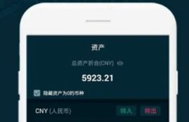 dash币app