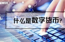 什么是数字货币通俗一点说(什么叫数字货币呢)