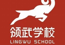 领武学校招生政策解析：让每个孩子成就梦想(领育学校)