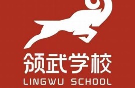 领武学校招生政策解析：让每个孩子成就梦想(领育学校)