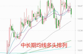 数字货币基本面哪里看