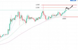 iotx币价格今日行情分析最新,市场概况