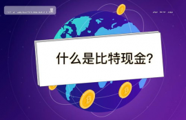 bch比特现金硬分叉的原因分析,比特币蒸发1万亿，到底发生了什么？