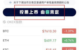 fet币投票,最新的FET币投票结果。