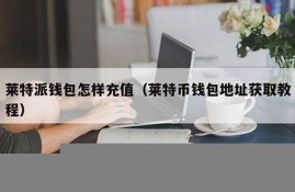 怎样比特币钱包充值卡(怎么往比特币钱包充值)