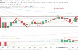 iota币未来价格走势分析,比特币行情怎么样？