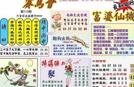 澳门管家婆免费资料查询