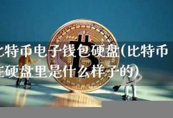 什么是比特币电子钱包地址(比特币电子钱包官网)