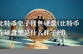 什么是比特币电子钱包地址(比特币电子钱包官网)