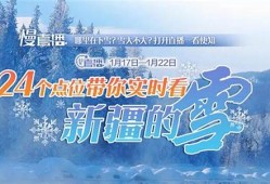 全国雪情实时更新 下雪群聊不可错过(全国下雪情况)