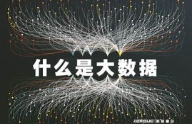 什么是大数据下的数字货币(什么是大数据下的数字货币交易)