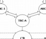 第三代数字货币应用技术是什么(第三代电子货币)