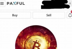 paxful比特币钱包安全吗(最新比特派钱包)