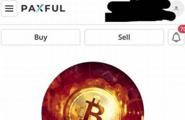 paxful比特币钱包安全吗(最新比特派钱包)