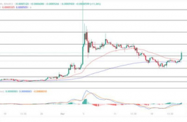 xec币最新价格,xec币的最新价格