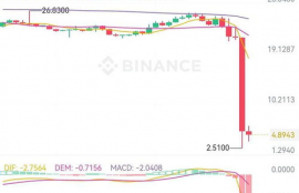 ftt币暴跌原因,FTX交易所的FTT币是什么？