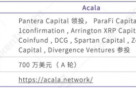 dot波卡币流通总量是多少,DOT是什么意思？