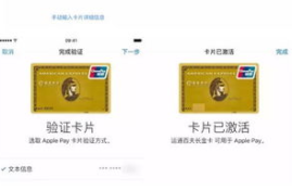 tenx pay上线交易平台,京东支付是怎么？？怎么弄京东支付？？