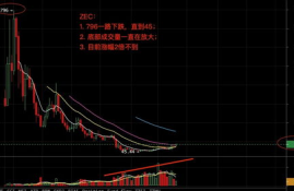 数字货币 zec,zec是什么虚拟货币