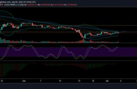 xrp币行情最新价格行情分析预测最新,XRP币最新消息