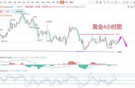 lunc币今日实时行情分析,今天缅币兑换人民币汇率是多少