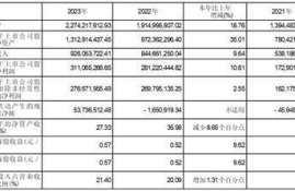 alt币是那个公司的简称,什么是埃克币？