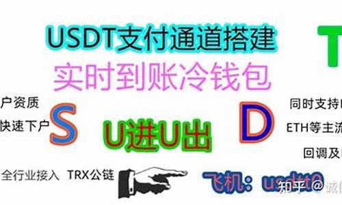 usdt怎么用数字钱包转成人民币 钱包应用