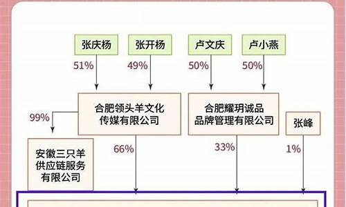 小杨哥被冻结股权背后，是否涉及股东纠纷？(小杨哥现实情况) 钱包应用