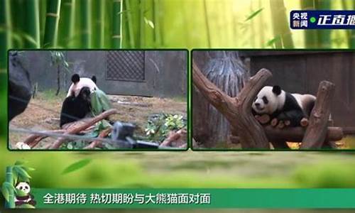 新一对赠送熊猫与公众见面 香港热议不断(同房两三天会不会怀孕) 区块链